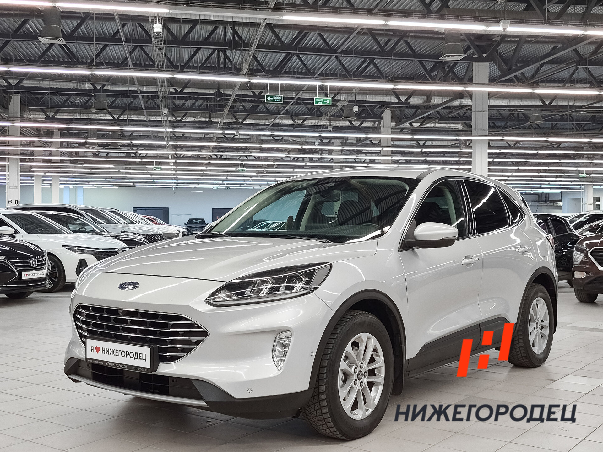 Ford Kuga 1.5d AT (120 л.с.), 2020 — купить в Нижнем Новгороде